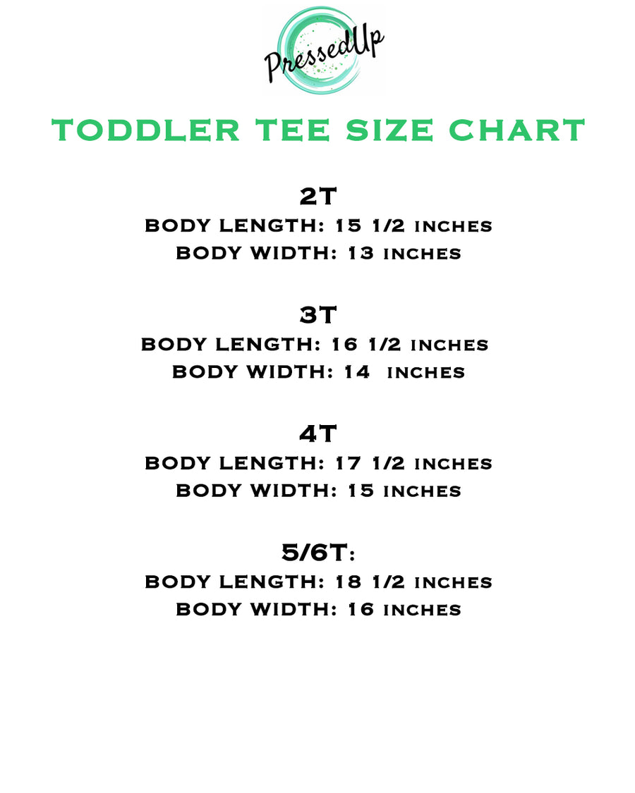 Toddler Little Firecracker T-Shirt